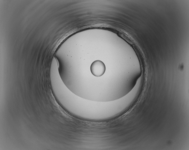 X0000116481281201001061112