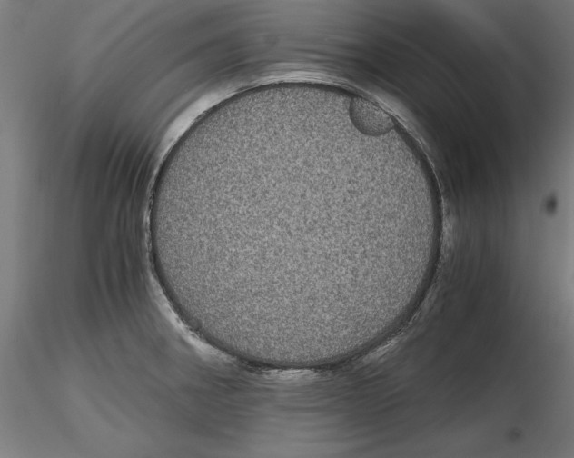 X0000116481282201001061112