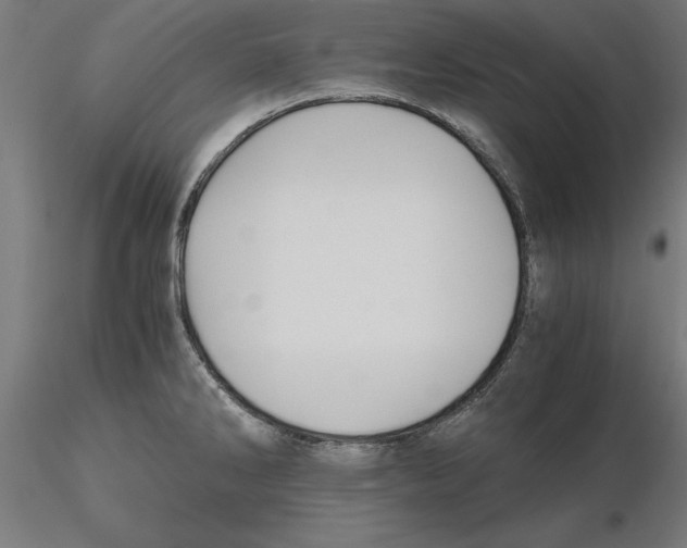 X0000116481286201001061112