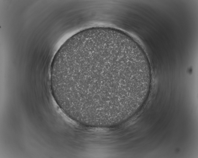 X0000116481287201001061112