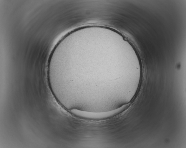 X0000116481288201001061112