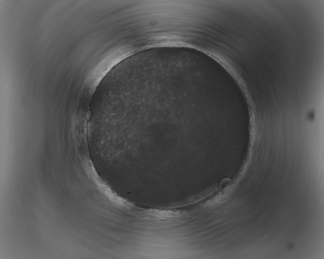 X0000116481289201001061112