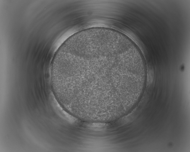 X0000116481290201001061112