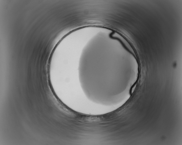 X0000116481291201001061112