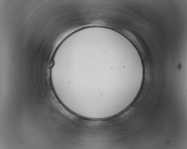 X0000116481292201001061112