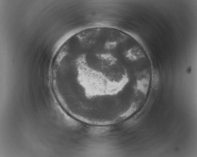 X0000116481294201001061112