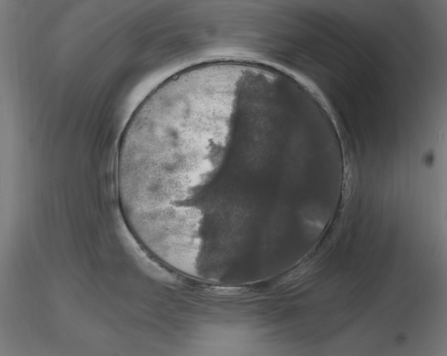 X0000116481295201001061112