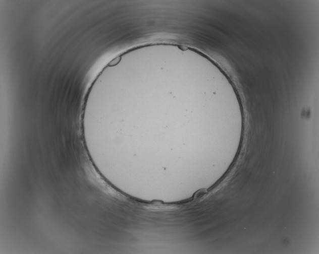 X0000116481296201001061112