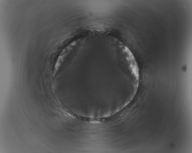 X0000116481297201001061111