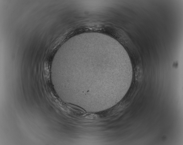 X0000116481298201001061111