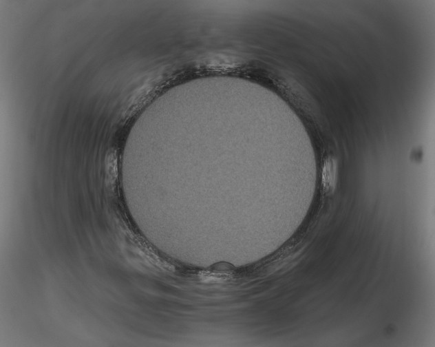 X0000116481299201001061111