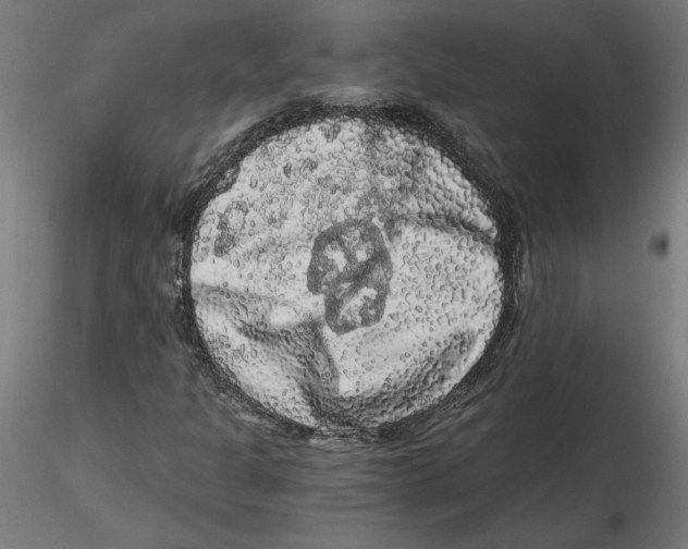 X0000116481301201001061111