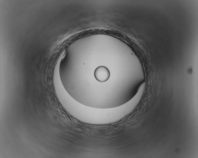 X0000116481303201001061111