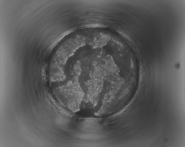 X0000116481305201001061111