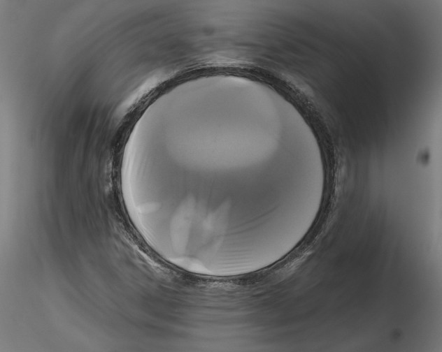 X0000116481306201001061111