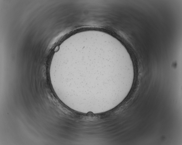 X0000116481307201001061112