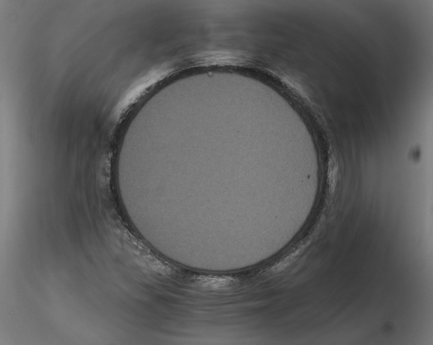 X0000116481309201001061112