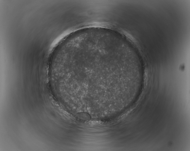 X0000116481310201001061112