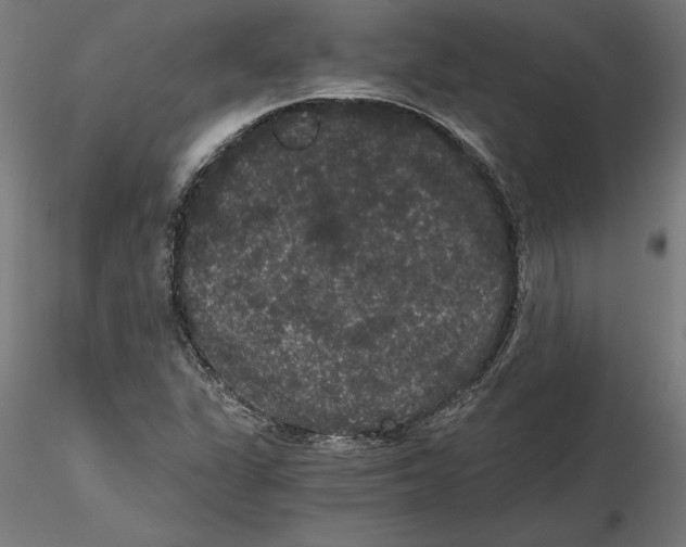 X0000116481311201001061112