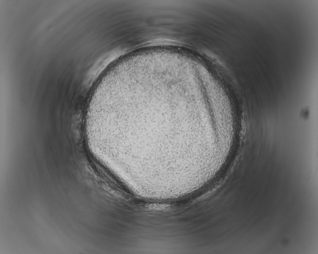 X0000116481313201001061112