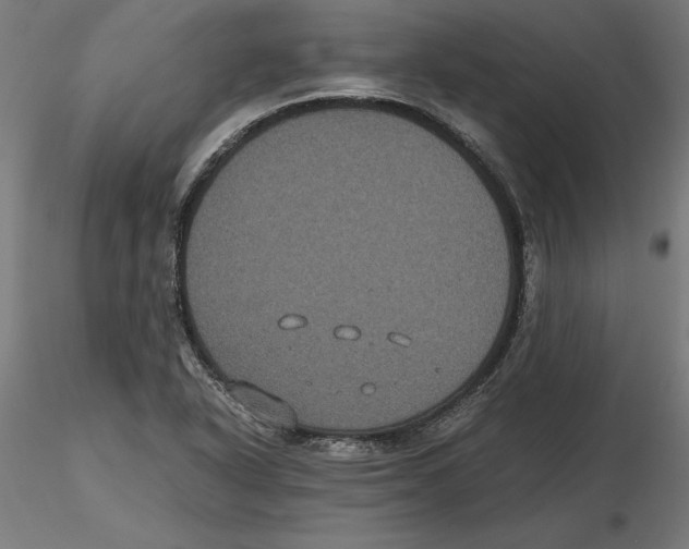 X0000116481318201001061112