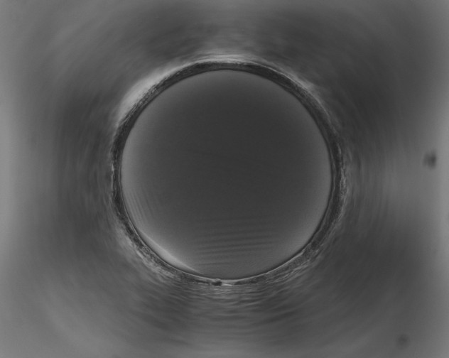 X0000116481319201001061112