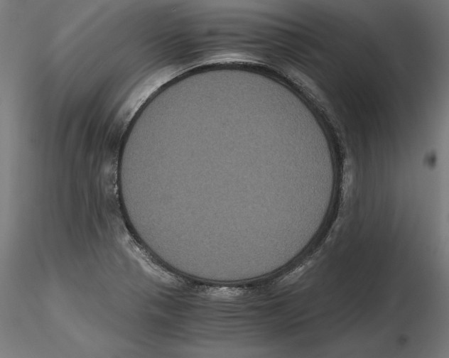 X0000116481321201001061112