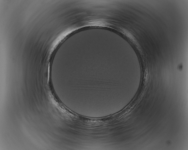 X0000116481323201001061112