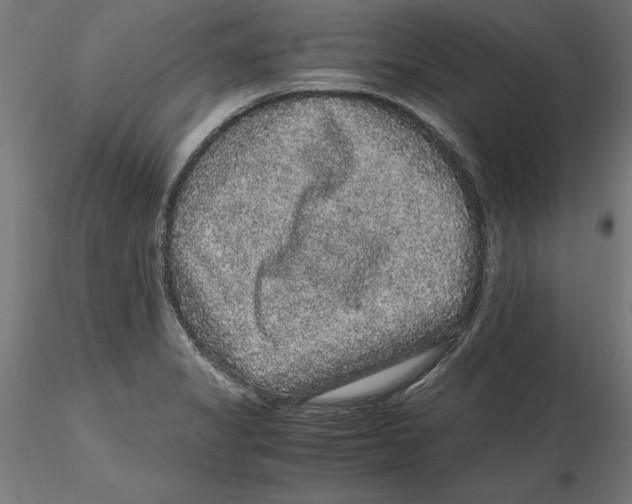 X0000116481325201001061112