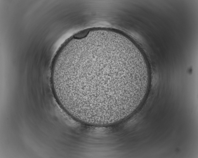 X0000116481326201001061112