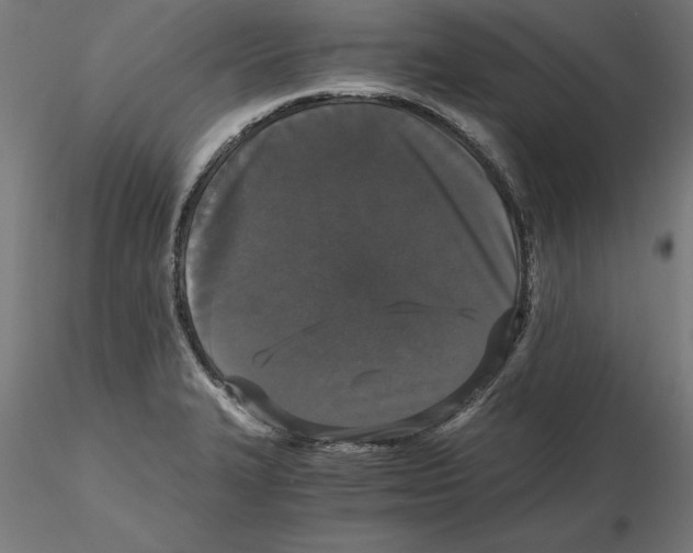 X0000116481327201001061112