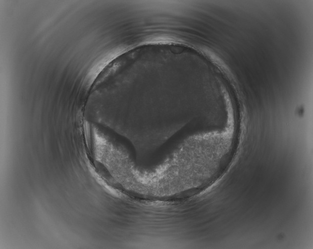 X0000116481329201001061112