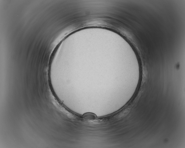 X0000116481330201001061112