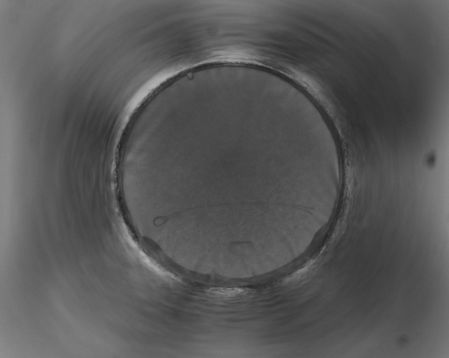 X0000116481331201001061112