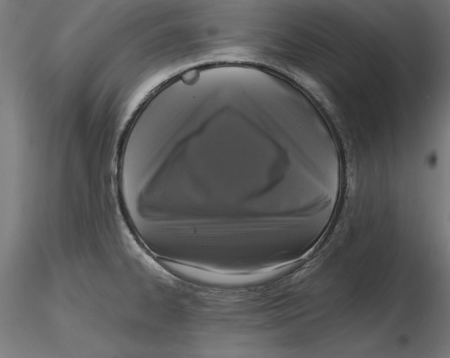 X0000116481334201001061112