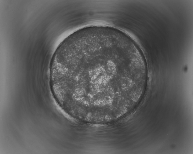 X0000116481335201001061112