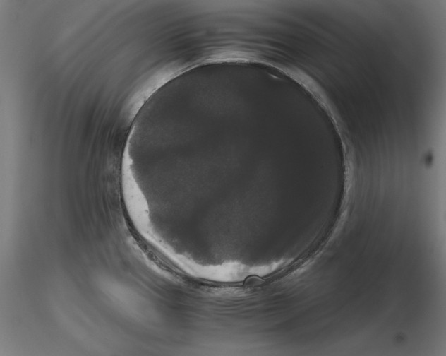 X0000116481337201001061112