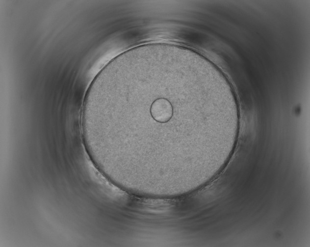 X0000116481338201001061112