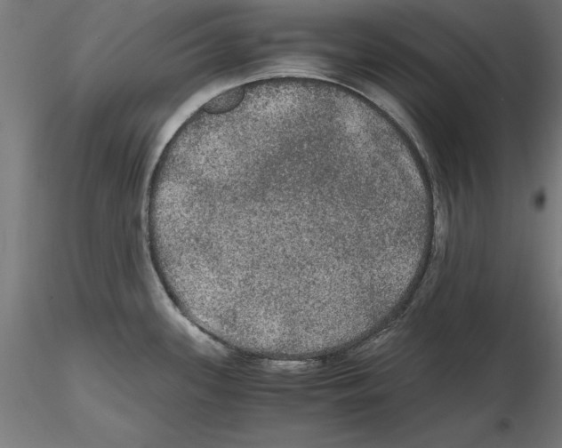 X0000116481339201001061112