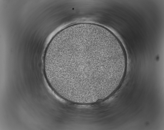 X0000116481341201001061112