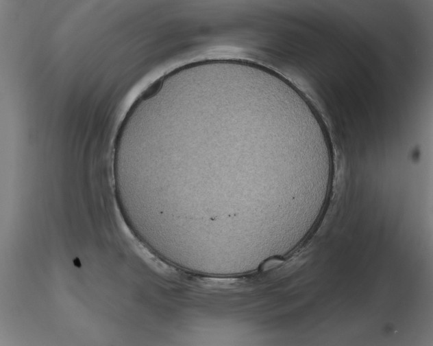 X0000116481342201001061112