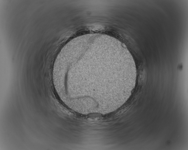 X0000116481345201001061111