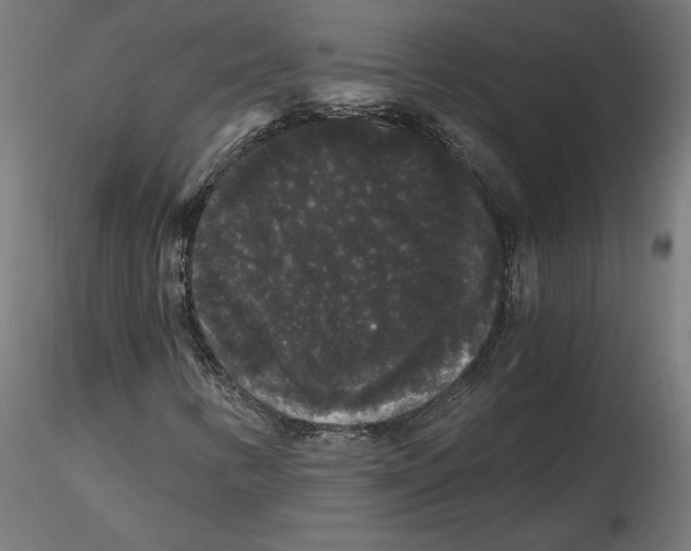 X0000116481346201001061111