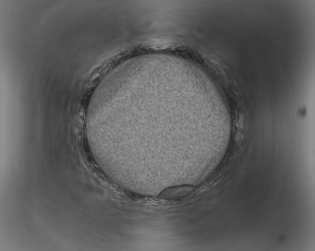 X0000116481349201001061111