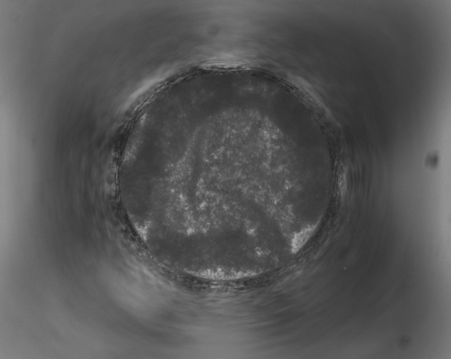 X0000116481350201001061111