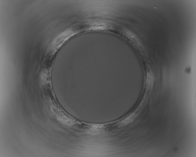 X0000116481353201001061111