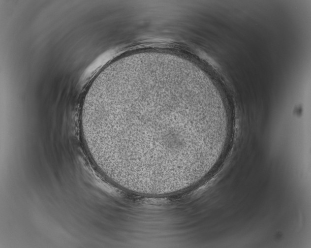 X0000116481354201001061111