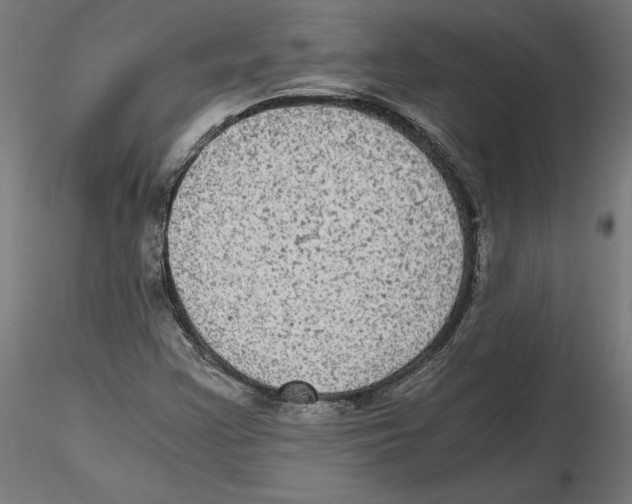 X0000116481355201001061111