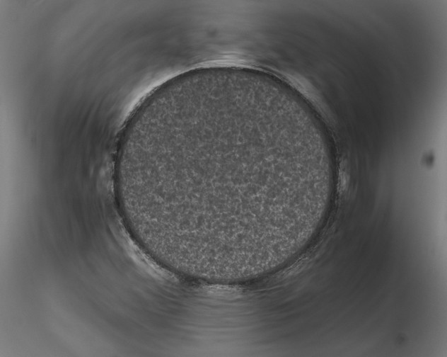 X0000116481356201001061111