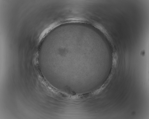 X0000116481357201001061111